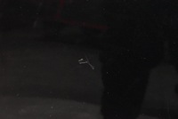 фото thumb №10, Двері ліва перед передні чорні citroen c-elysee 2 ii 12-17