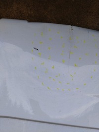 фото thumb №6, Двері лівий задня задні master iii 3 lift renault