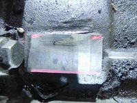 фото thumb №8, Коробка передач передач ford galaxy fvp 1.9 tdi 116km