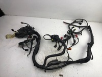 фото thumb №10, Ford fiesta mk7 джгут двигуна 8v5t12a522