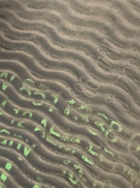 фото thumb №5, Патрубок інтеркулер bmw 2 f46 8511338