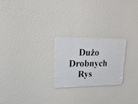 фото thumb №15, Двері перед ліва renault scenic iii lift tekng