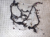 Купить Жгут электропроводка двигателя chevrolet corvette c7 6.2 z51 2014-, фото thumb