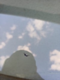 фото thumb №5, Стекло передняя перед лобовое bmw x7 g07 датчик камера оригинал