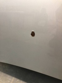 Капот к audi a4 b8 рестайлинг  12-16 w kolorze lx7w Киев, фото thumb