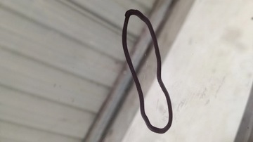 фото thumb №6, Audi a5 8w cabrio скло правий зад 8w7845298b