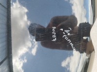 Капот citroen c4 2 b7 od 2010- цвет ktv оригинал с Разборки, фото thumb