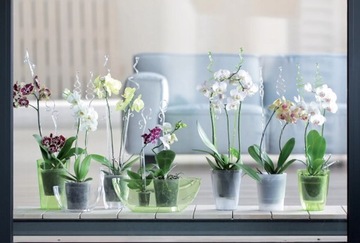 Палочки для орхидей Green Decor Prosperplast support