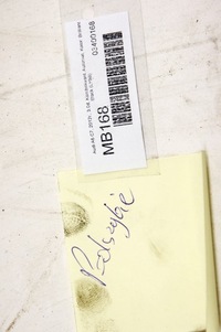 фото thumb №5, Mb168 audi a6 c7 жабо защита перед