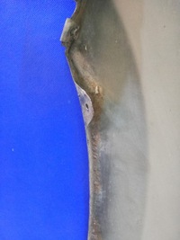 фото thumb №10, Toyota rav4 iii lift 10/13 крила перед передній правий 1h2