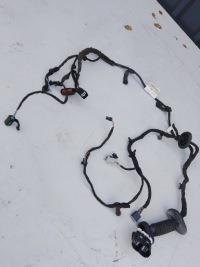 фото thumb №1, Ford ecosport жгут дверь правый перед cn1514630