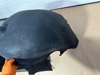 фото thumb №10, Підкрилок лівий задня, ліва задні, захист, mercedes cl w216, c216