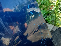 фото thumb №12, Дверь перед левый bmw x3 x-3 i e83 2003-2010 giełda pń