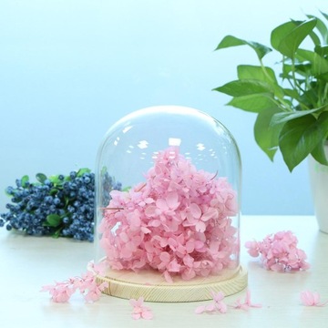 5 деревянных стеклянных куполов с деревянными