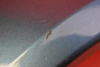 фото thumb №6, Крыло правый перед передний 64z subaru outback 3 iii 04-09