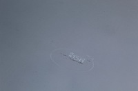 фото thumb №7, Капот перед передняя audi a8 d3