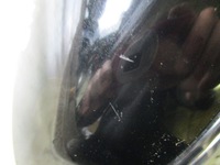 фото thumb №16, Зеркало правое citroen ds7 cr0ssback 17r- 11+6 pin