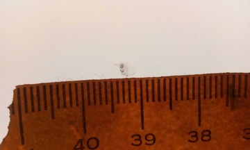 фото thumb №5, Скло лобове передня volvo xc60 2008-2017 датчик камера оригінал зелена