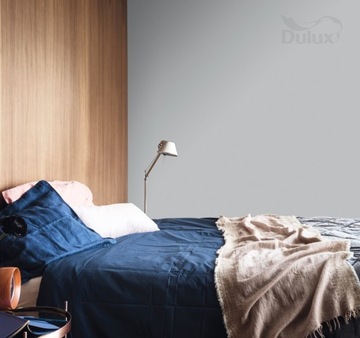 DULUX COLORS OF THE WORLD - полярный туман, 2,5л
