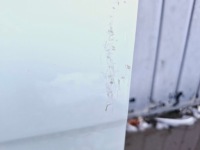 фото thumb №6, Citroen c3 iii 3 двері лівий перед передні
