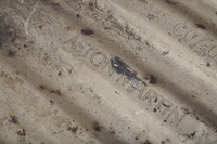 фото thumb №7, Aston martin db9 6.0 v12 гаситель конечный выхлоп 4g43-5230-fb