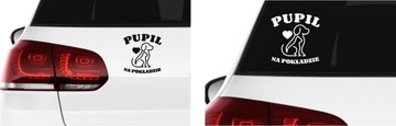 Naklejka PUPIL NA POKŁADZIE pies kot na auto szybę *16cm *KOLORY *BEZ TŁA
