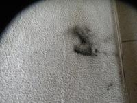 фото thumb №11, Volvo v50 заднє сидіння задня шкіра