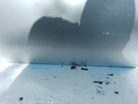 фото thumb №5, 8564 opel meriva a дверь правый задняя z157