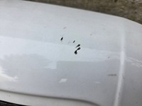 фото thumb №13, Крышка багажника дверь задняя правое створка ford transit tourneo custom i h1 2012-2023