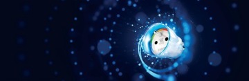 Настенная розетка Fibaro типа E Z-wave Разъем Z-Wave+