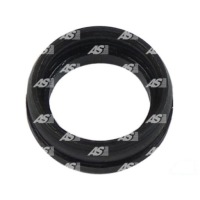 Купити Основа захист. стартер as-pl srs0021, фото thumb