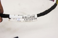 фото thumb №6, Ir063 bentley flying spur i жгут правый перед