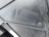 фото thumb №8, Pas передній skoda octavia ii 08r 1.6 бензин