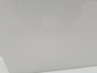 фото thumb №11, Mercedes b-klasa w246 дверь левый задняя 650