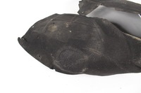 фото thumb №6, Подкрылок левая левый перед audi a6 c6 04-08