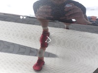 фото thumb №8, Alfa romeo stelvio 16- двері праве перед