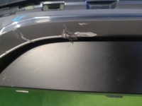 фото thumb №5, Бампер перед передній polestar iii 3 32227633