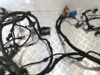 Електропроводка джгут відсік двигуна maserati quattroporte vi 3.8 gts 670007387 в Україні, фото thumb