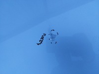 фото thumb №6, Капот audi a4 b7 2004-2008 cabriolet