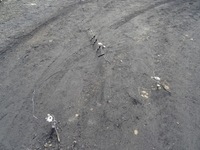 фото thumb №1, Шланг провода трубки тормозные citroen c4 picasso ii lift