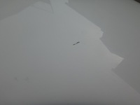 фото thumb №10, Двері ліва mini cooper r56 r57 pepper white