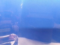 фото thumb №8, Toyota hilux an120, an130 2017 кришка передня / капот двигуна