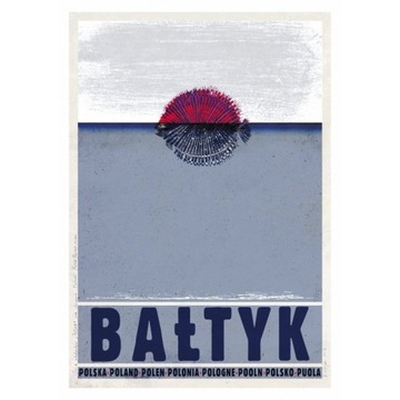 Рышард Кая Польская городская школа плаката 98x68