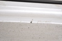 фото thumb №4, Volvo xc90 ii планка накладка порогова порога ліва 31395883