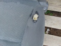 фото thumb №16, Сидіння лівий перед водія berlingo partner iii 2008- підігріваємий europa