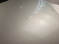 фото thumb №9, Капот крышка багажника крышка двигателя решётка радиатора решётка радиатора logo opel vectra c z02 gts