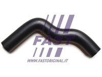 фото thumb №2, Fast ft61313 шланг масляный гибкий