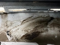 фото thumb №8, Mercedes c-klasa w206 amg бампер передний перед pdc 23-