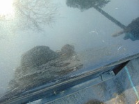 фото thumb №8, Молдинг поріг права bmw e60 7033760