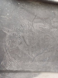 фото thumb №12, Бампер перед передний peugeot 807 01-10 1484198077 оригинальный номер